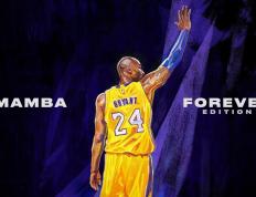 明尼苏达森林狼士气爆棚，WTT大满贯季后赛遇上山东泰山，目标明确直指晋级